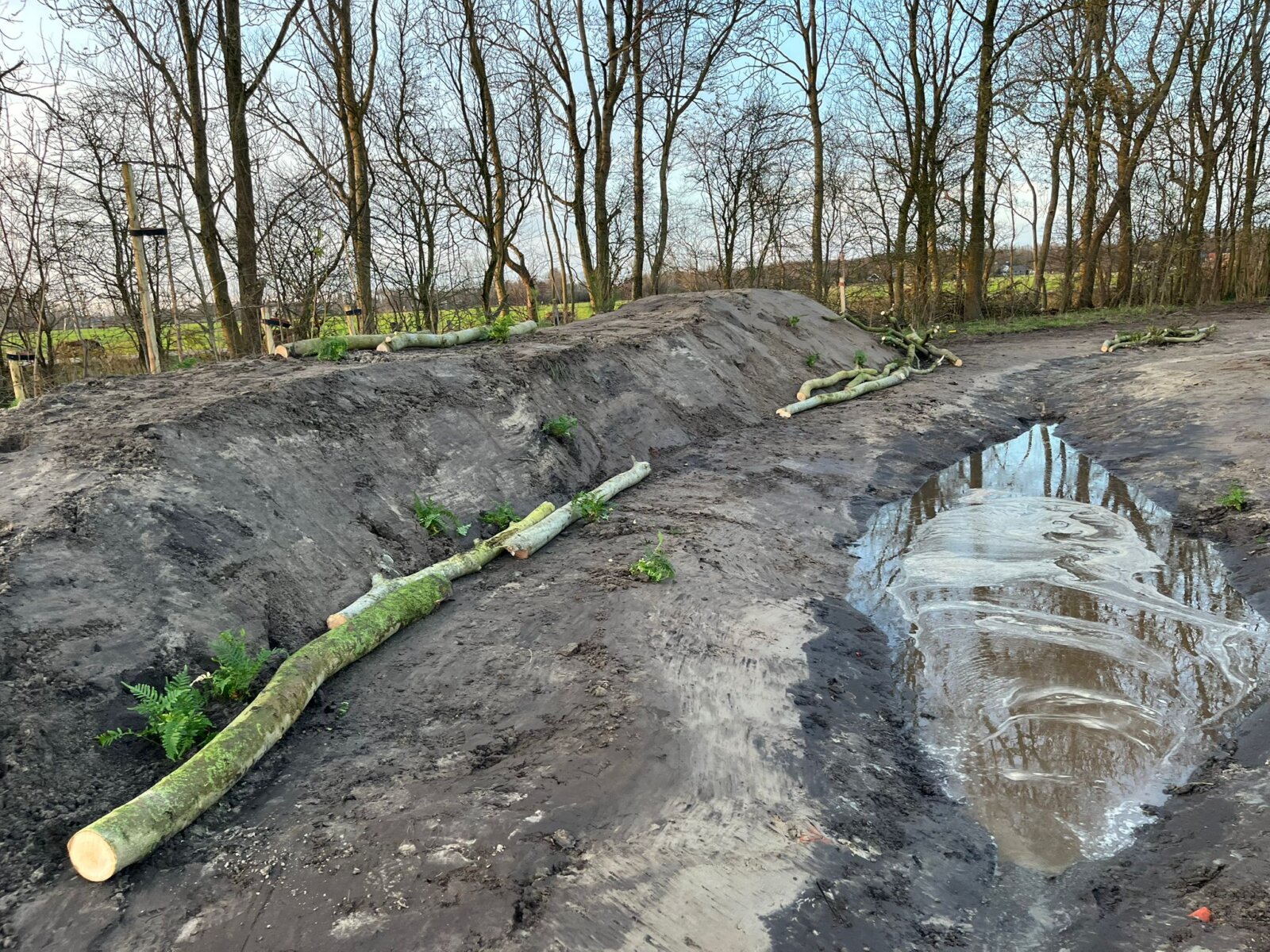 Wadi natuurlijke tuin